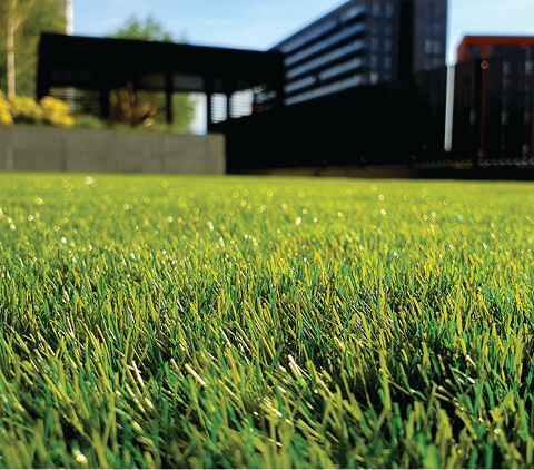 services – maintenance